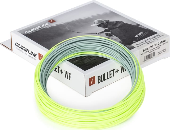Guideline Bullet+ Wf Guideline
