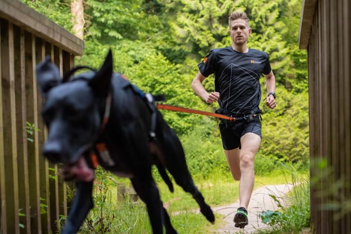 Non-stop Dogwear Bungee Leash Black/Orange Non-stop Dogwear
