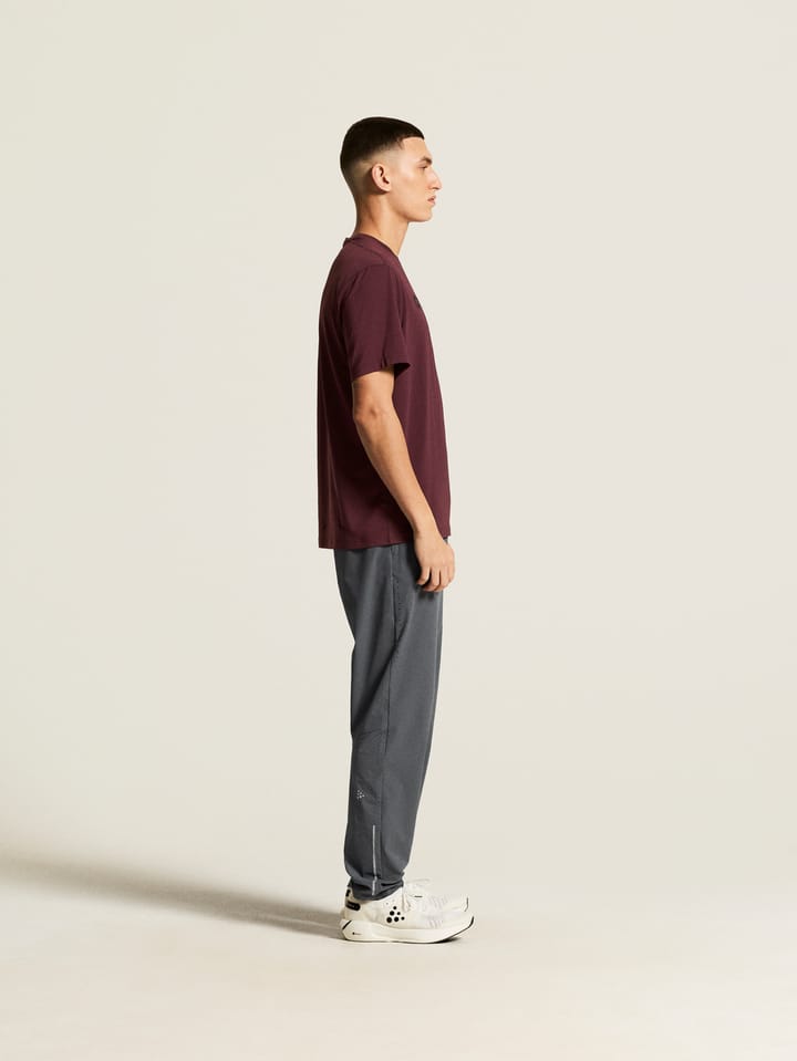 Craft Men's Essence Logo Tee 2 Dk Fig Craft