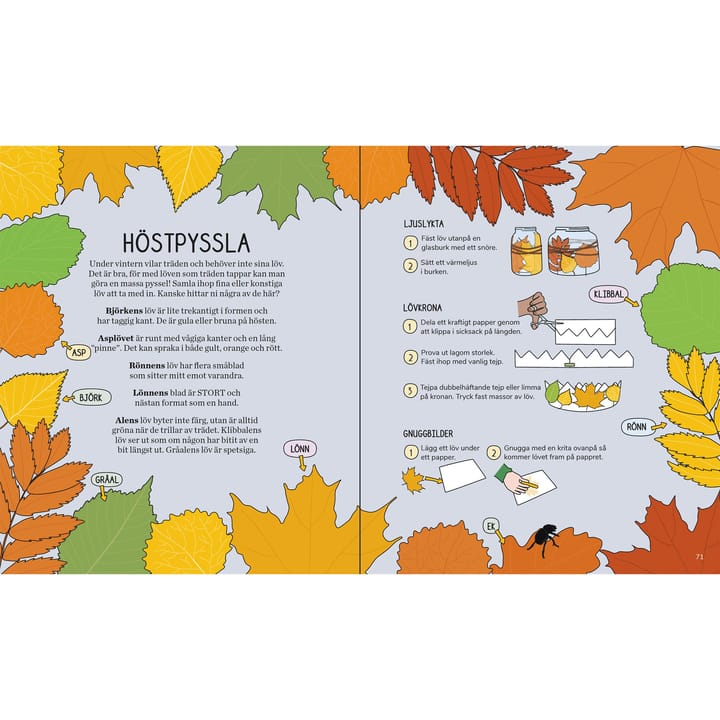 Calazo förlag Barnens Utebok Nocolour Calazo förlag