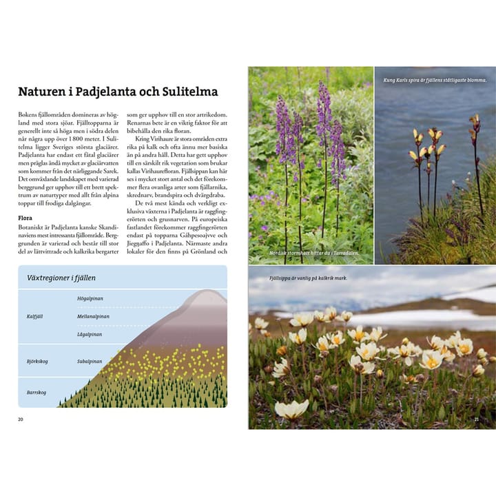 Calazo förlag Fjällvandra i Padjelanta och Sulitelma Nocolour Calazo förlag