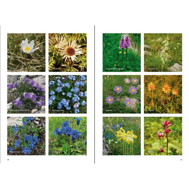 Calazo förlag Vandra i Provence Nocolour Calazo förlag Calazo förlag Vandra i Provence Nocolour Calazo förlag