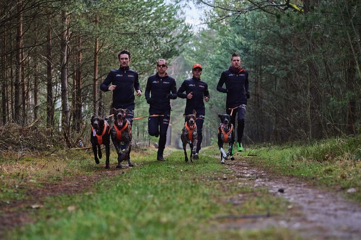 Non-stop Dogwear Canix Belt Pro Black Non-stop Dogwear Non-stop Dogwear Canix Belt Pro Black Non-stop Dogwear