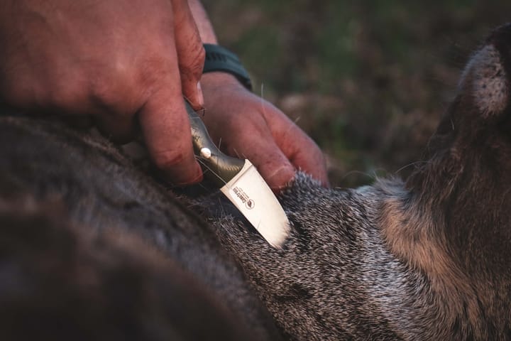 Safari Mini Hunter Stabilised Curly Birch Casström