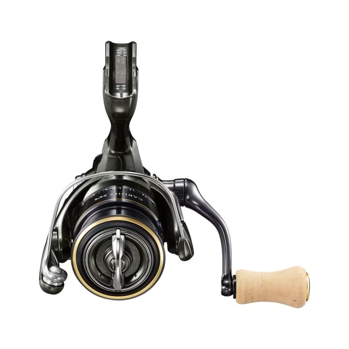 Shimano Cardiff XR Shimano