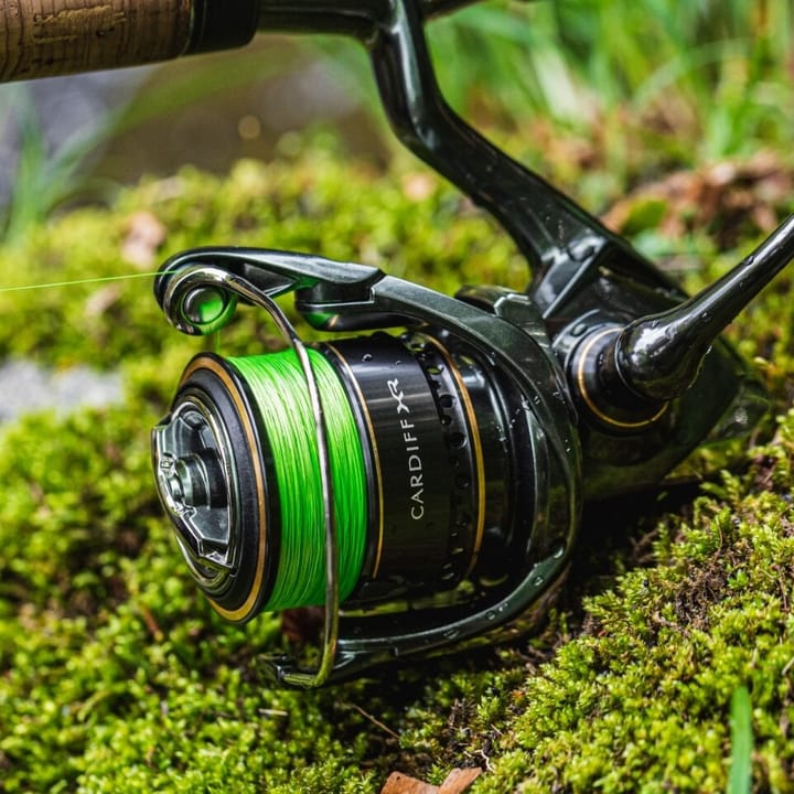 Shimano Cardiff XR Shimano