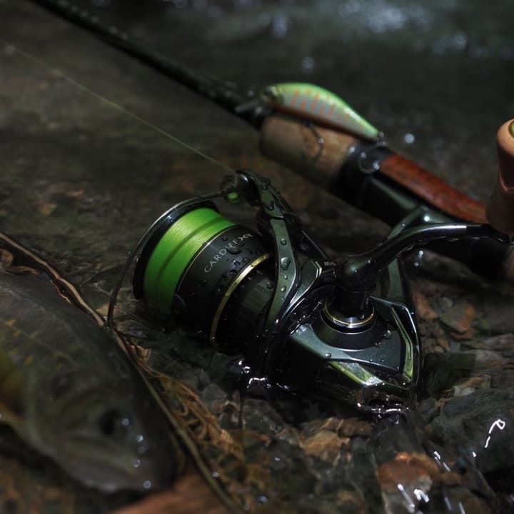 Shimano Cardiff XR Shimano