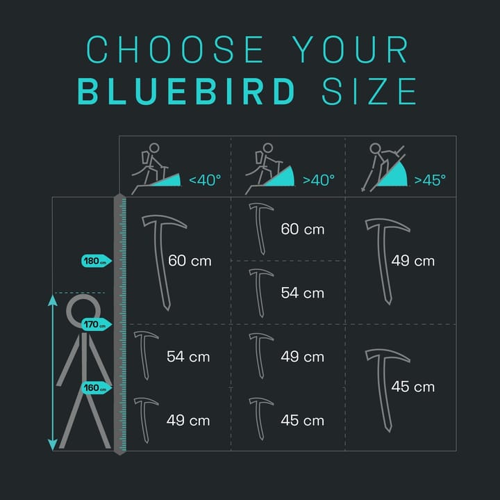 Blue Ice Bluebird Blue Blue Ice