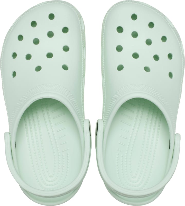 Crocs Unisex Classic Clog Mint Tint Crocs