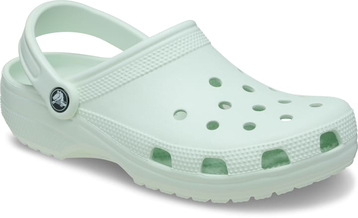 Crocs Unisex Classic Clog Mint Tint Crocs