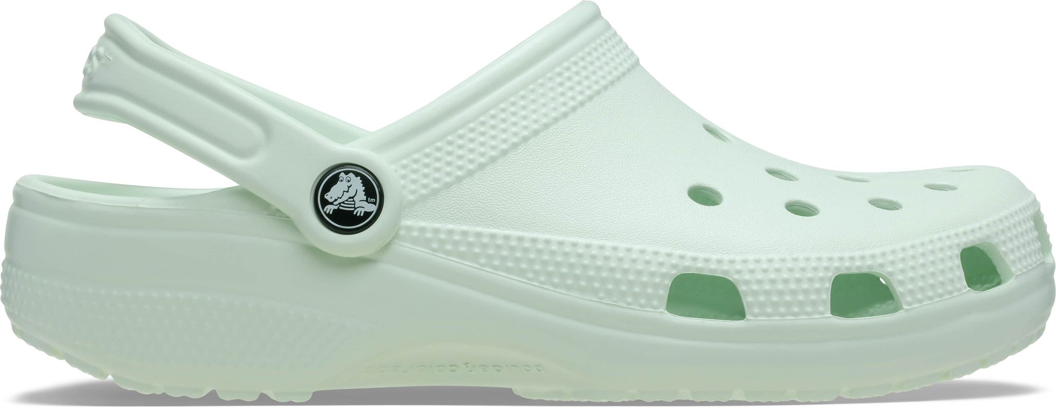 Crocs Unisex Classic Clog Mint Tint