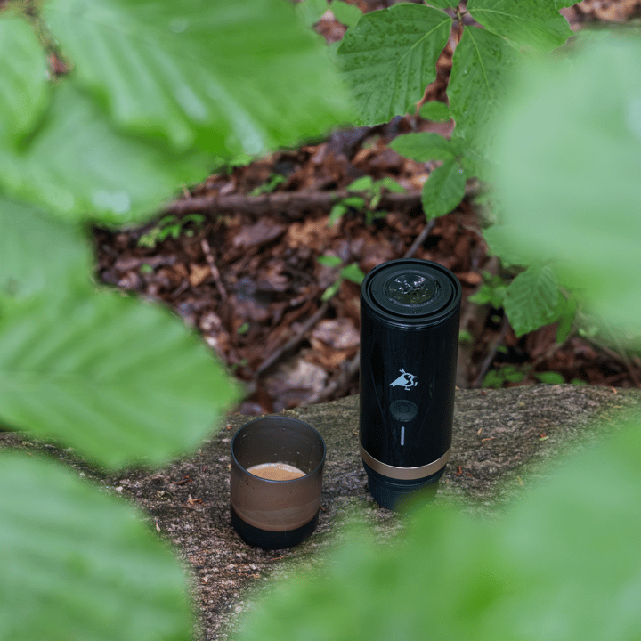 Aqiila Coffeebird Black Aqiila Aqiila Coffeebird Black Aqiila