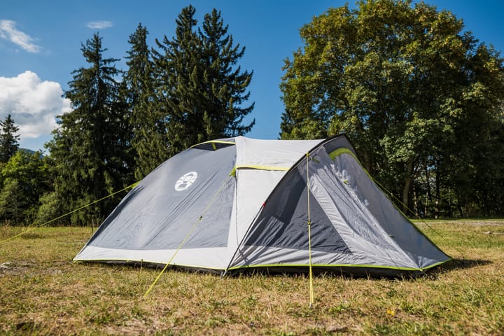 Coleman Darwin 4+ Grey (Green Accents) Coleman