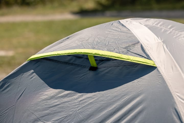Coleman Darwin 4+ Grey (Green Accents) Coleman