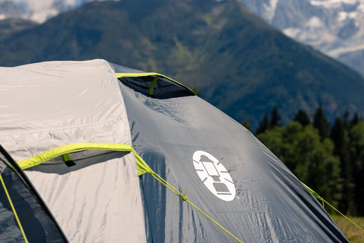 Coleman Darwin 4+ Grey (Green Accents) Coleman
