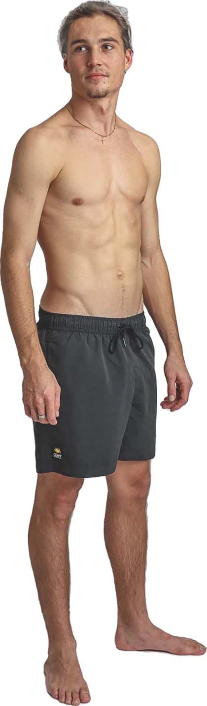 ColourWear ColourWear Men's Volley Swim Shorts's Pants Black S, Black