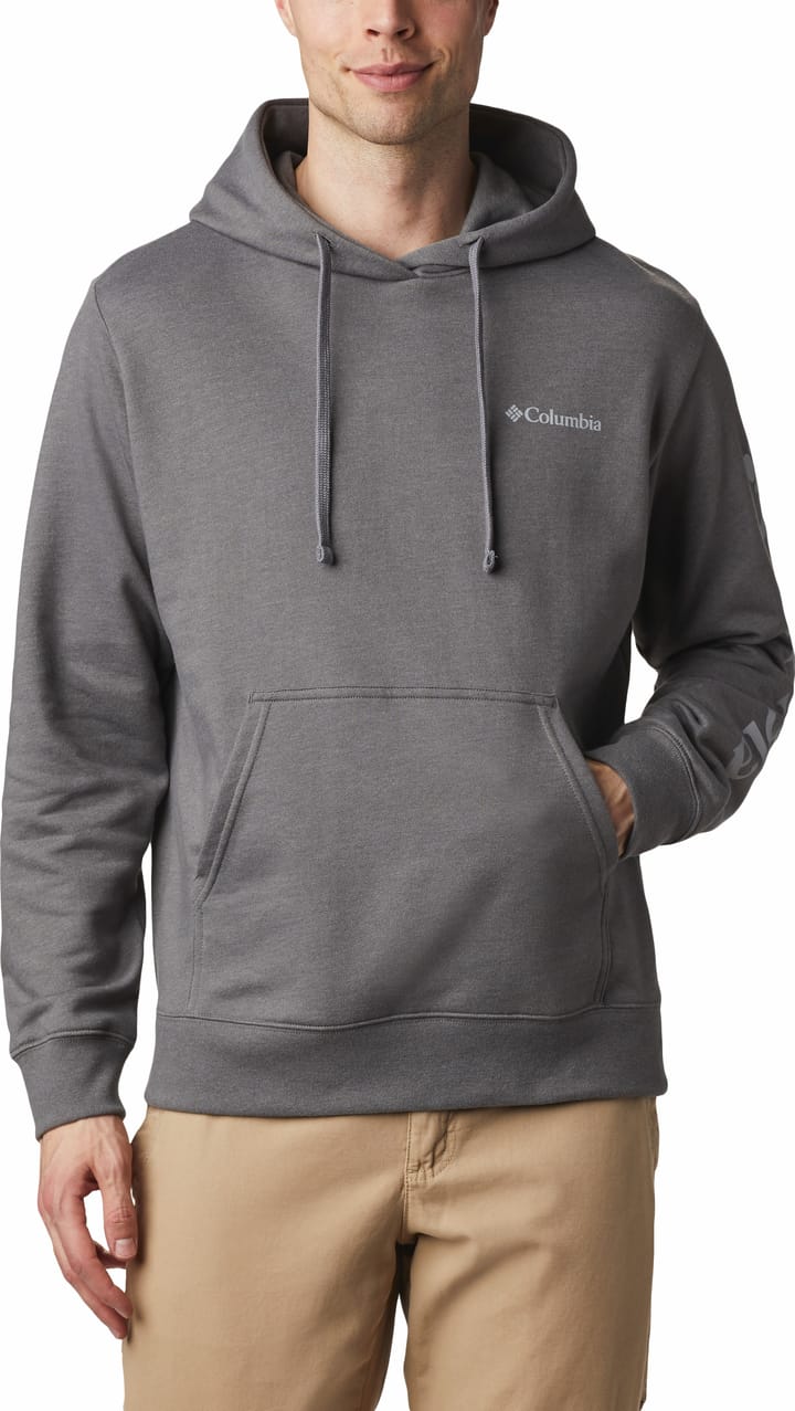 Columbia Men's Viewmont II Sleeve Graphic Hoodie City Grey/Columbia Grey Columbia