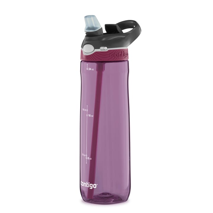 Contigo Ashland Water Bottle Passionfruit Contigo