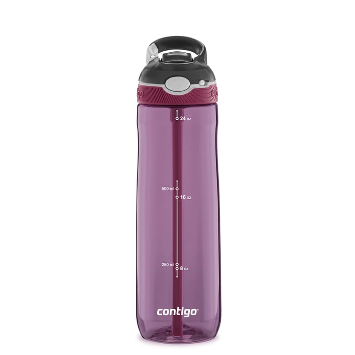 Contigo Ashland Water Bottle Passionfruit Contigo