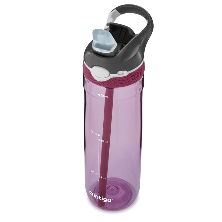 Contigo Ashland Water Bottle Passionfruit Contigo