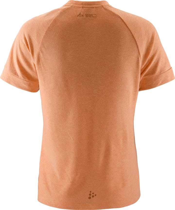 Craft Women's Advance Trail Wool Short Sleeve Tee Cliff Melange Craft