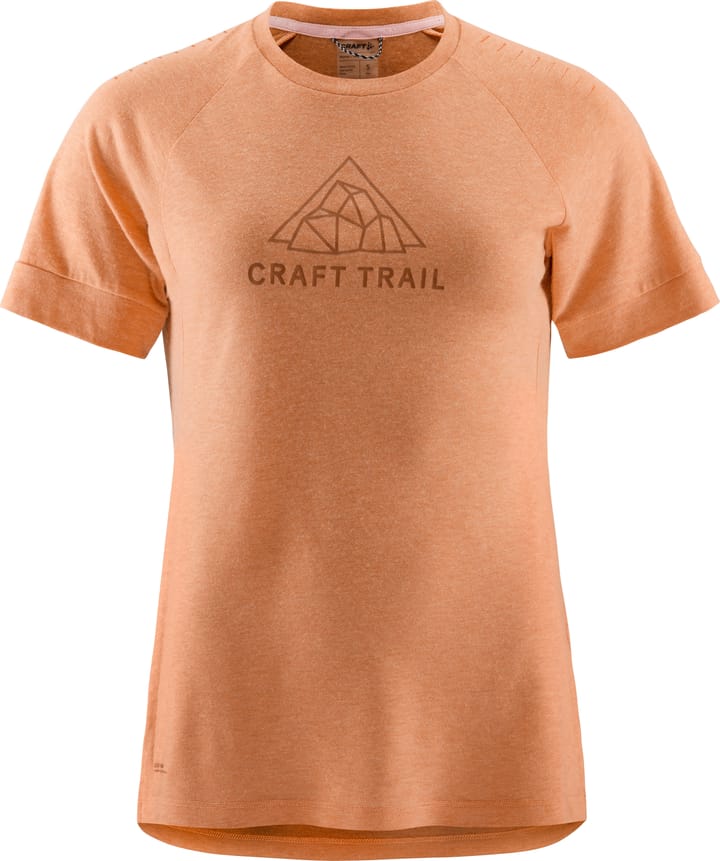 Craft Women's Advance Trail Wool Short Sleeve Tee Cliff Melange Craft