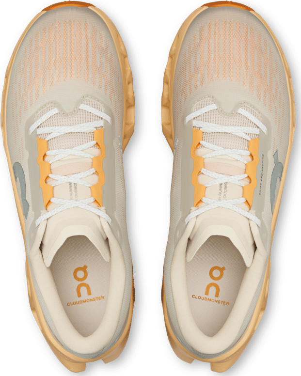 On Men's Cloudmonster 3 Pelican-squash On