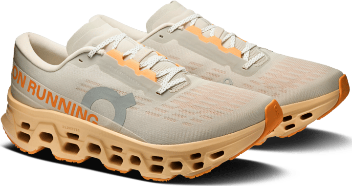 On Men's Cloudmonster 3 Pelican-squash On