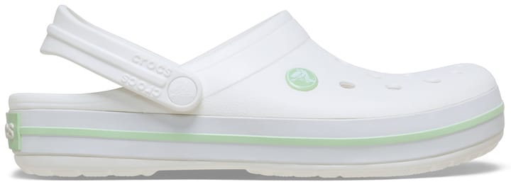 Crocs Unisex Crocband Clog White/serene Green Crocs