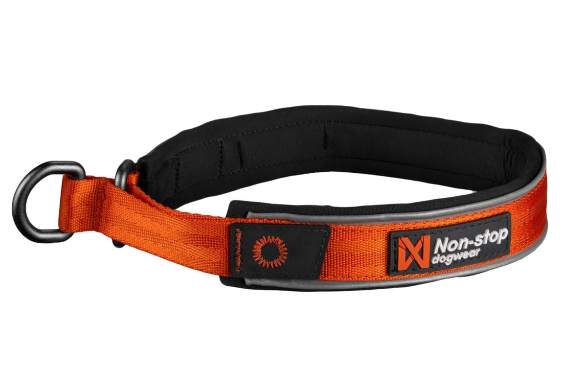 Non-stop Dogwear Cruise Collar