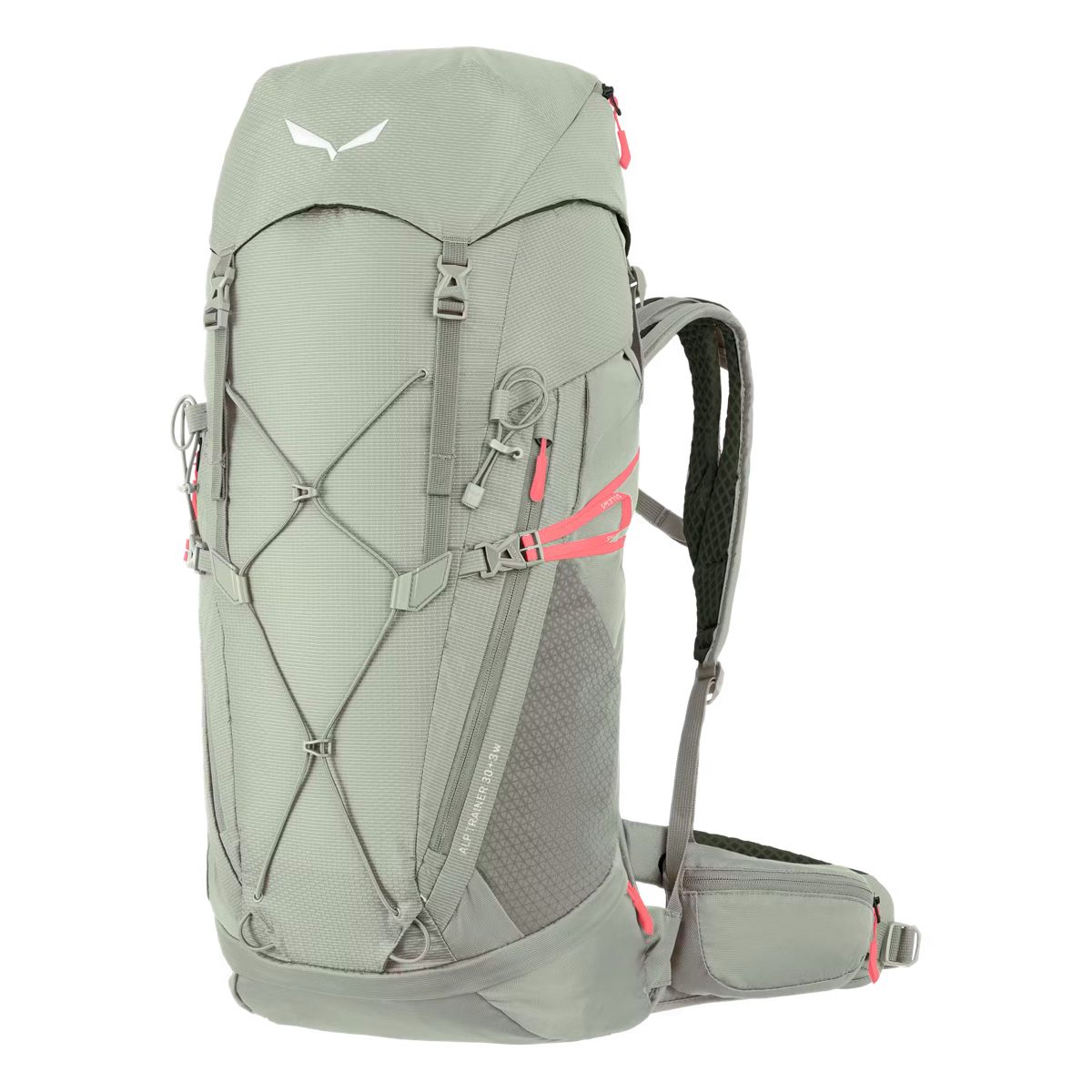 Salewa Alp Trainer 30+3 Ws Shadow