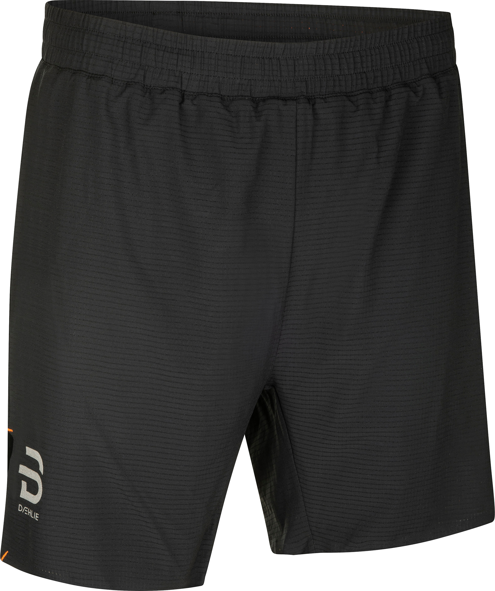 Daehlie Herre Shorts Run 365