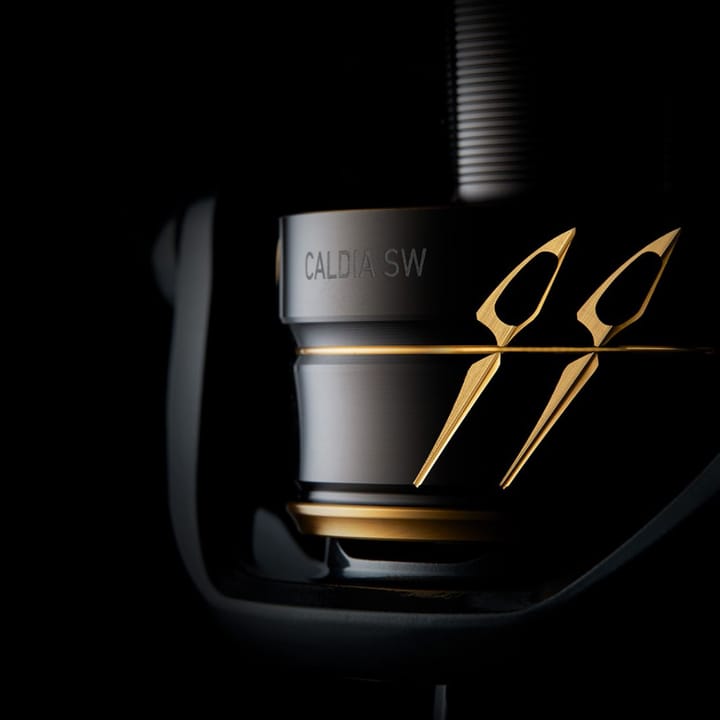 Daiwa Daiwa Caldia Sw Daiwa