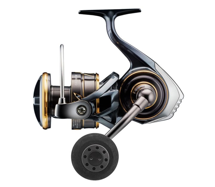 Daiwa Daiwa Caldia Sw Daiwa