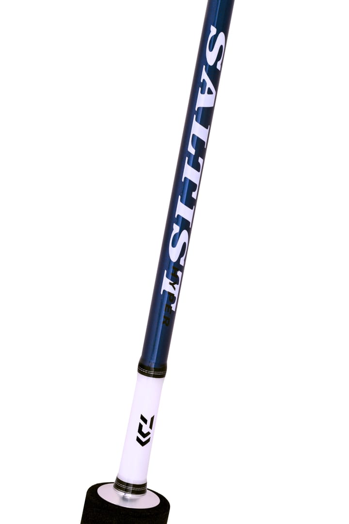 Saltist Hyper SJ Haspelstang Daiwa