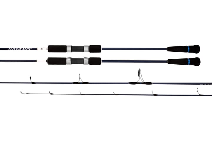 Saltist Hyper SJ Haspelstang Daiwa