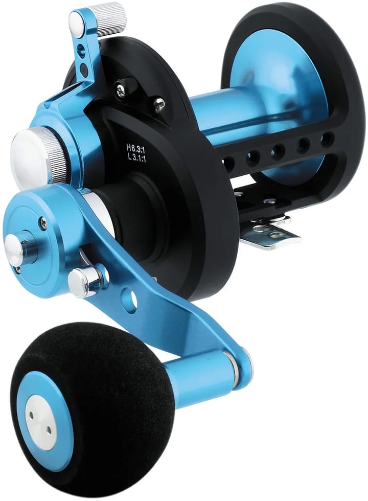 Daiwa Daiwa Saltist Ld20 2 Speed Daiwa Daiwa Daiwa Saltist Ld20 2 Speed Daiwa