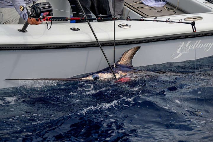 Daiwa Daiwa Tanacom 1200 Sterk Og Lett Elektrisk Havfiskesnelle Daiwa