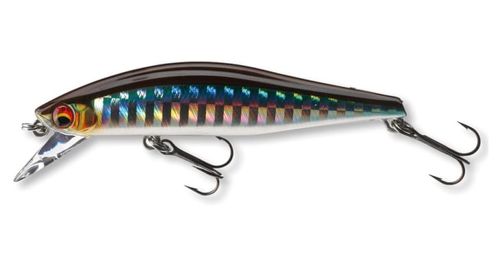 Daiwa Daiwa Tournament Wise Minnow FS Daiwa