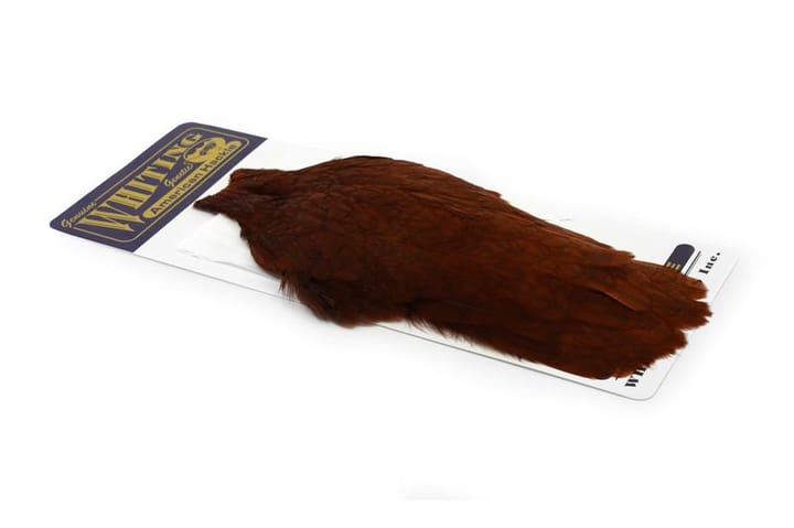 Whiting American Hen Cape White Dyed Coachman Whiting