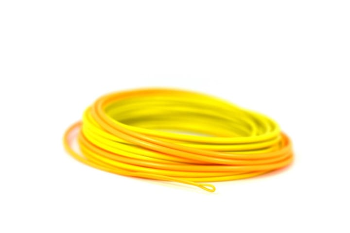 Scientific Anglers Headway Belly Scientific Anglers