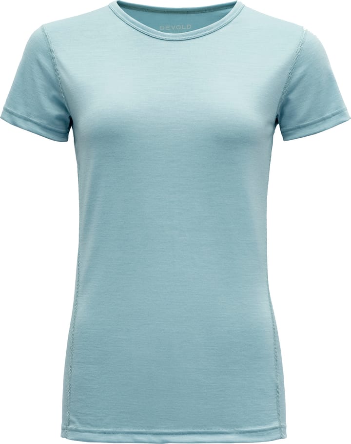 Women's Breeze Merino 150 T-Shirt CAMEO MELANGE Devold