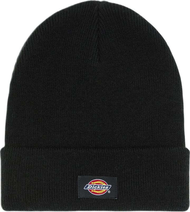 Dickies Kid's Gibsland Beanie Black Dickies