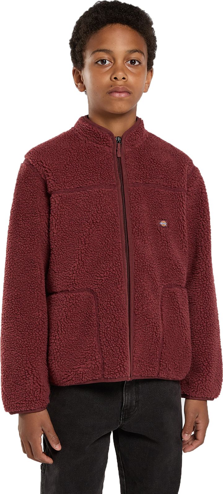 Dickies Kids' Mount Hope Fleece Andorra Dickies