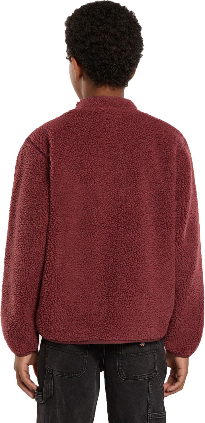 Dickies Kids' Mount Hope Fleece Andorra Dickies