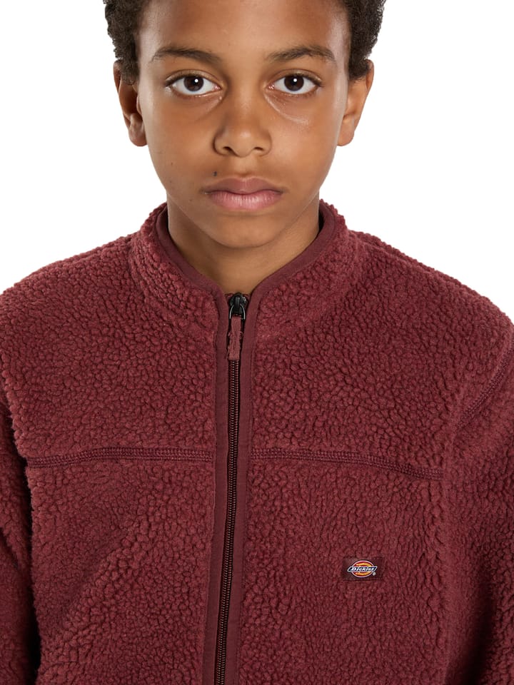 Dickies Kids' Mount Hope Fleece Andorra Dickies