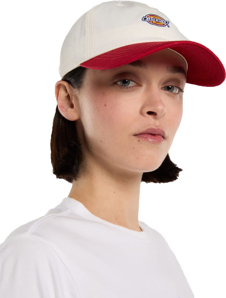 Dickies Hardwick 2 Tone Egret Dickies