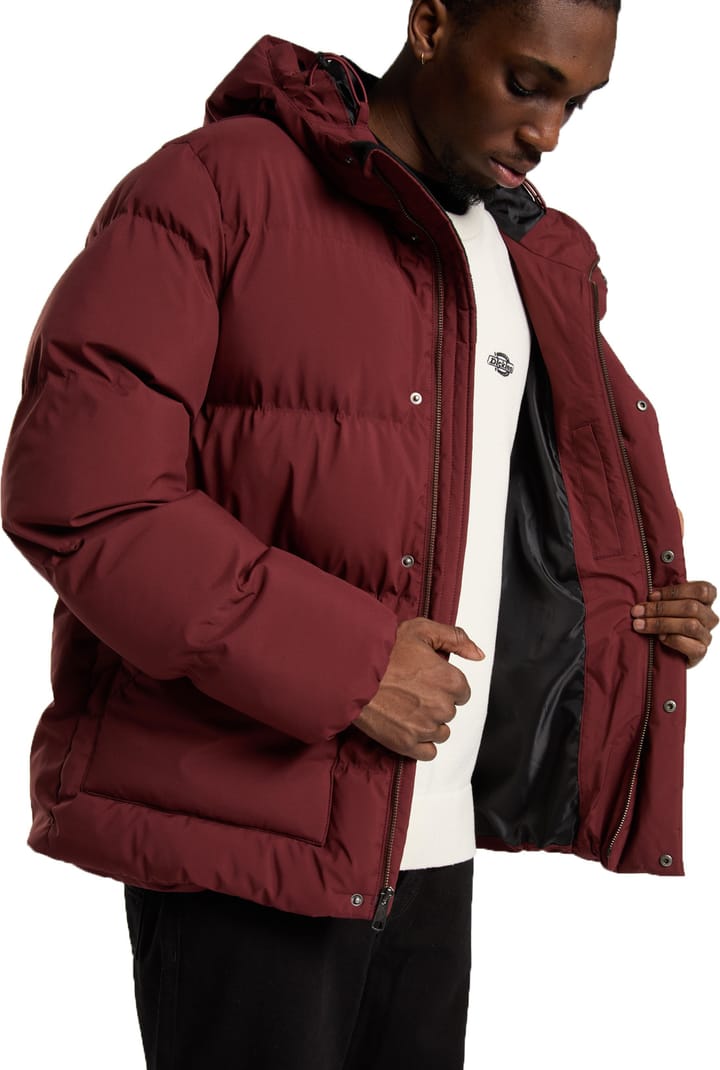 Dickies Men's Eagleville Hooded Puffer Andorra Dickies