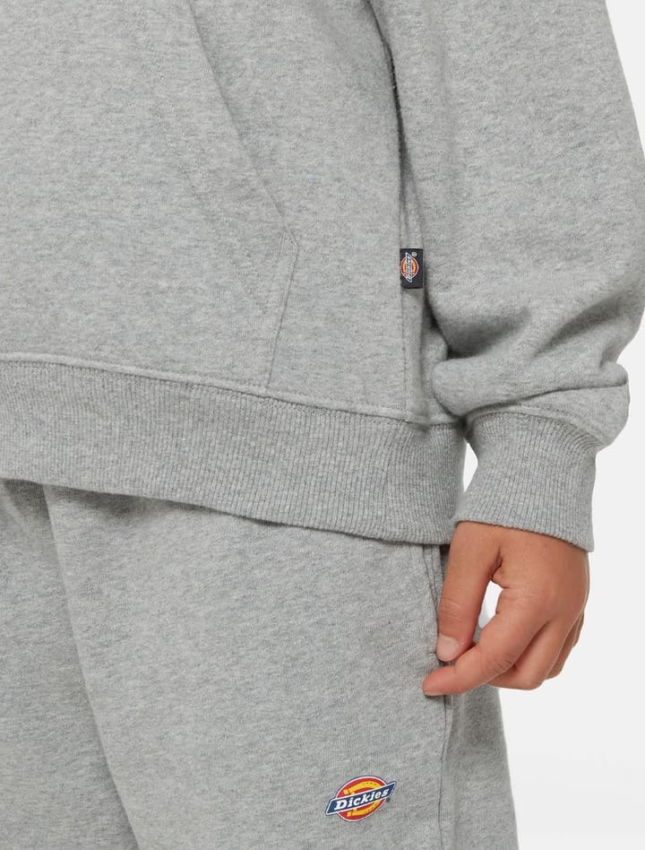 Dickies Youth Logo Hoodie Heather Gray Dickies