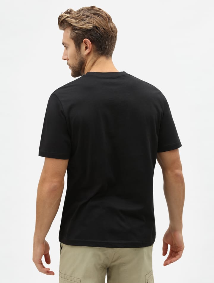Dickies Men's T-shirt Two Pack Black Dickies